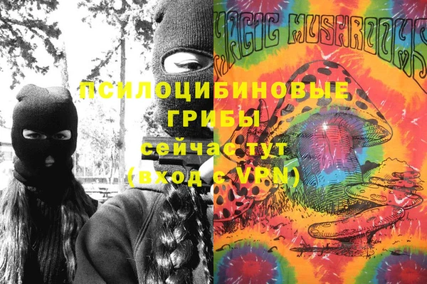 гидропоника Балахна